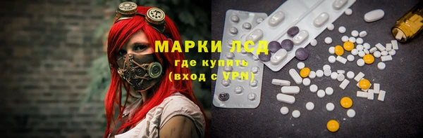 таблы Бородино