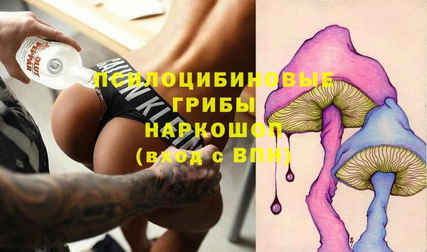 таблы Бородино