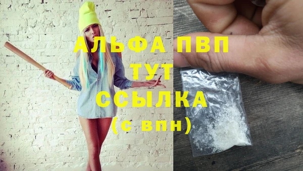 таблы Бородино