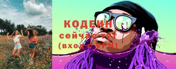 таблы Бородино