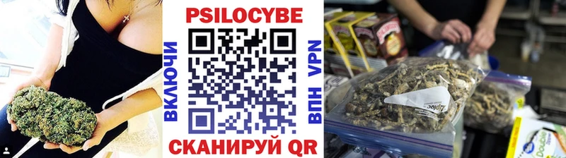 Купить  Снежинск  Псилоцибиновые грибы Psilocybe 