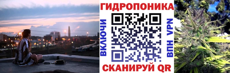 Купить закладки  Снежинск  Канабис сатива 